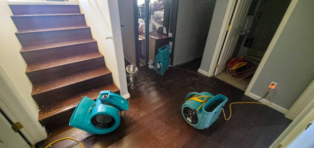 Best Flooded house restoration  in La Crosse, KS