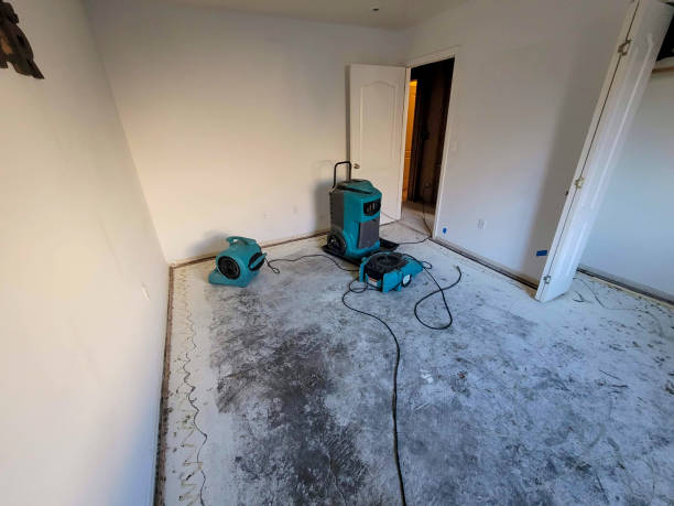 Best Mold removal after water damage  in La Crosse, KS