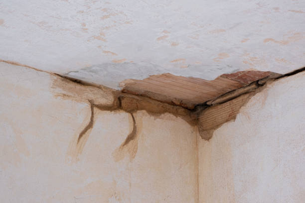 Best Commercial water damage restoration  in La Crosse, KS
